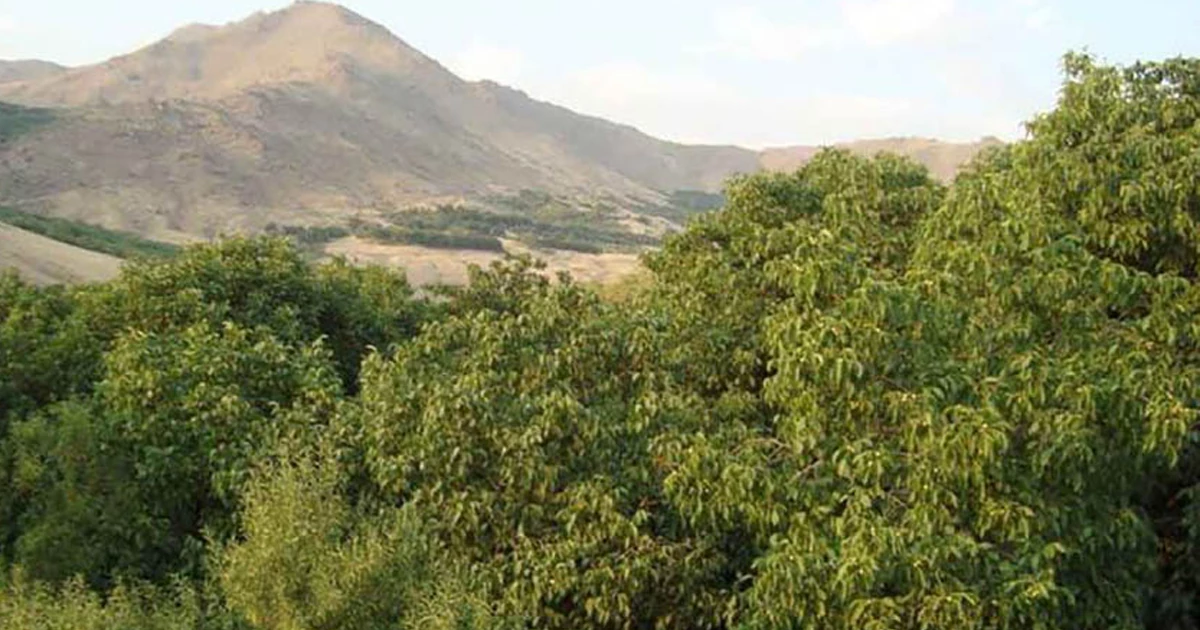 دره گزندر سرابی