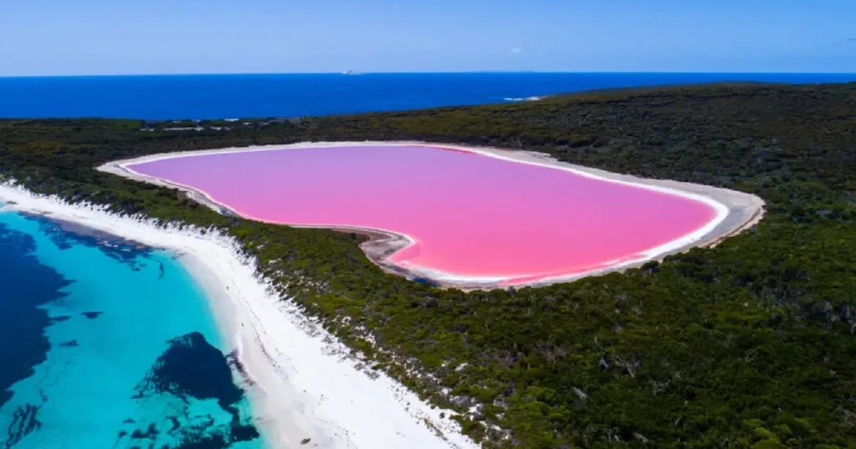 دریاچهی هیلیر در استرالیا | Lake Hillier