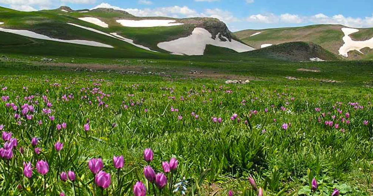 روستای شیران؛ نگین بکر هریس