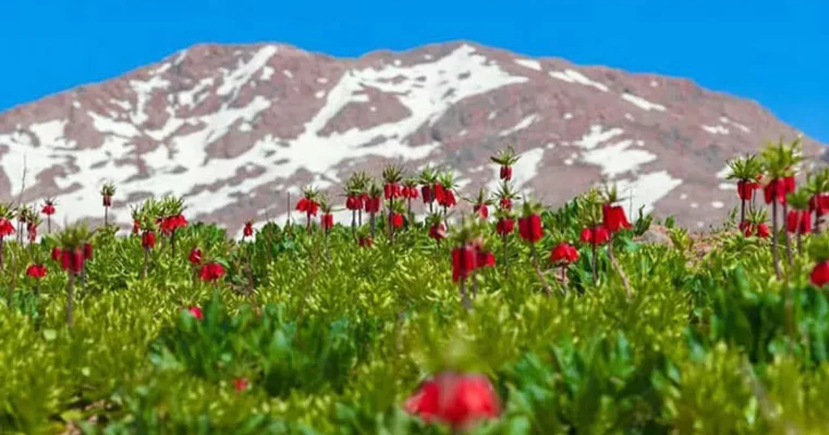 الیگودرز لرستان