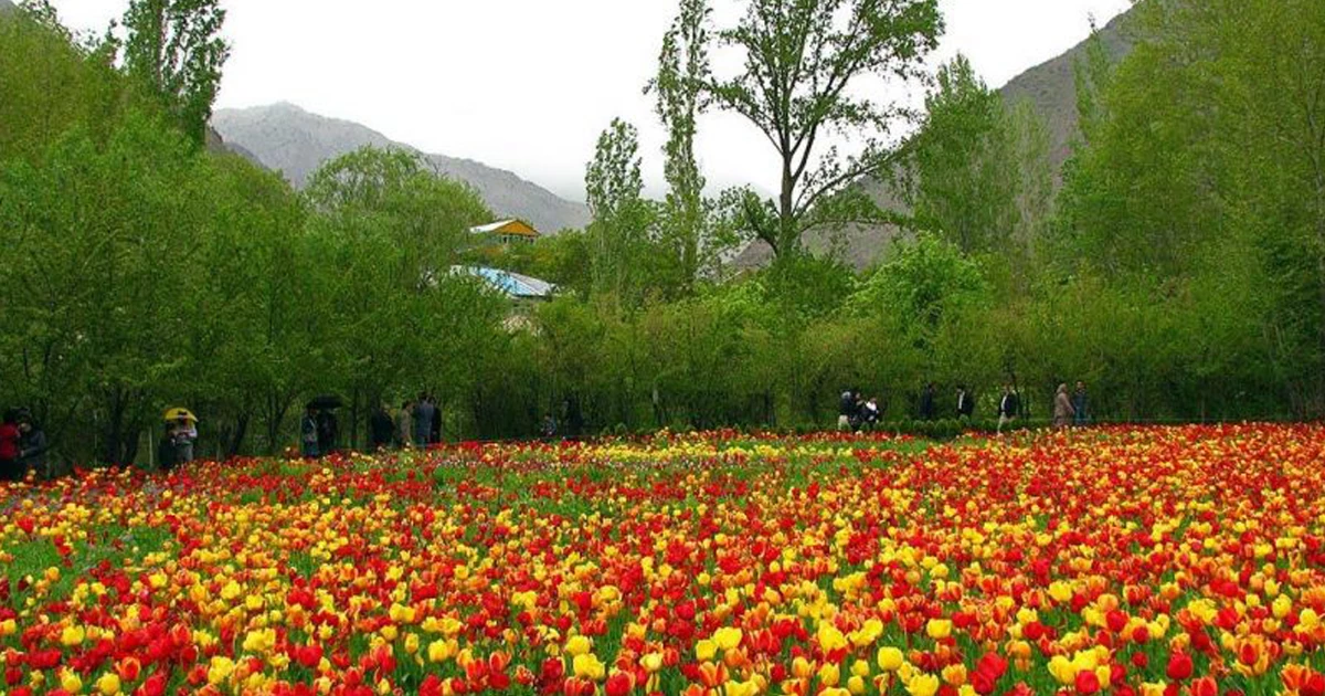 گرماب البرز