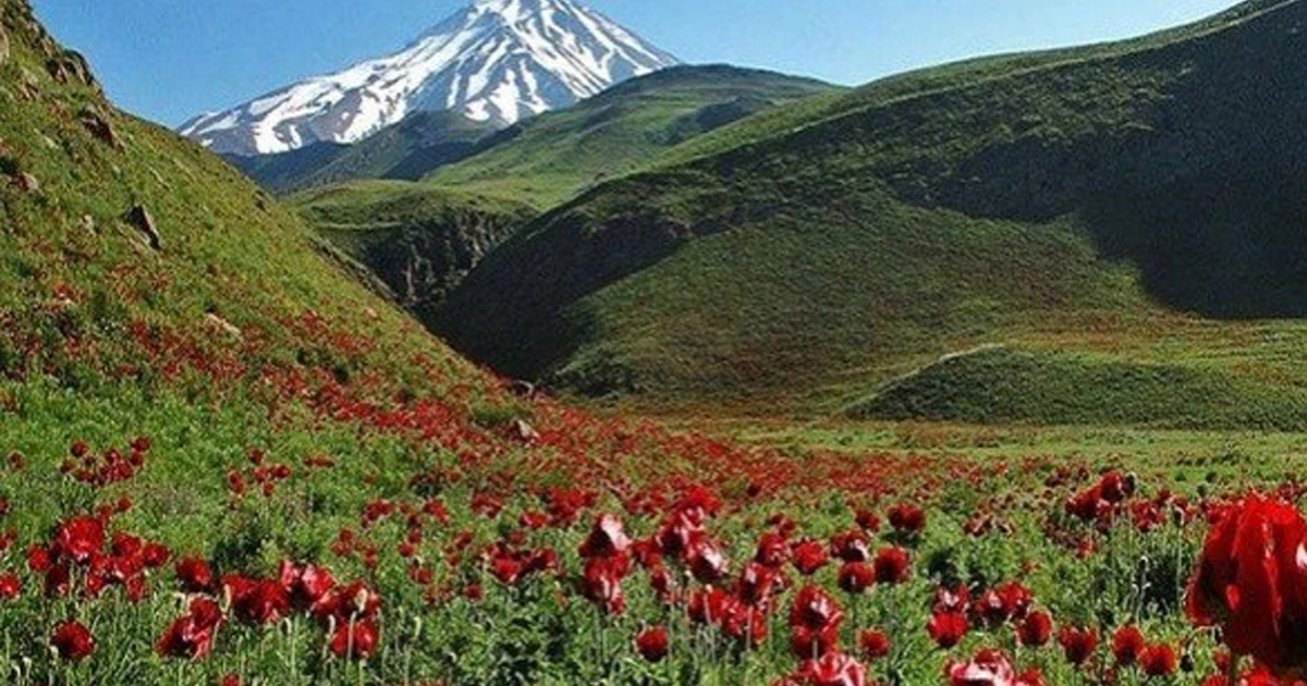 پارک ملی لار