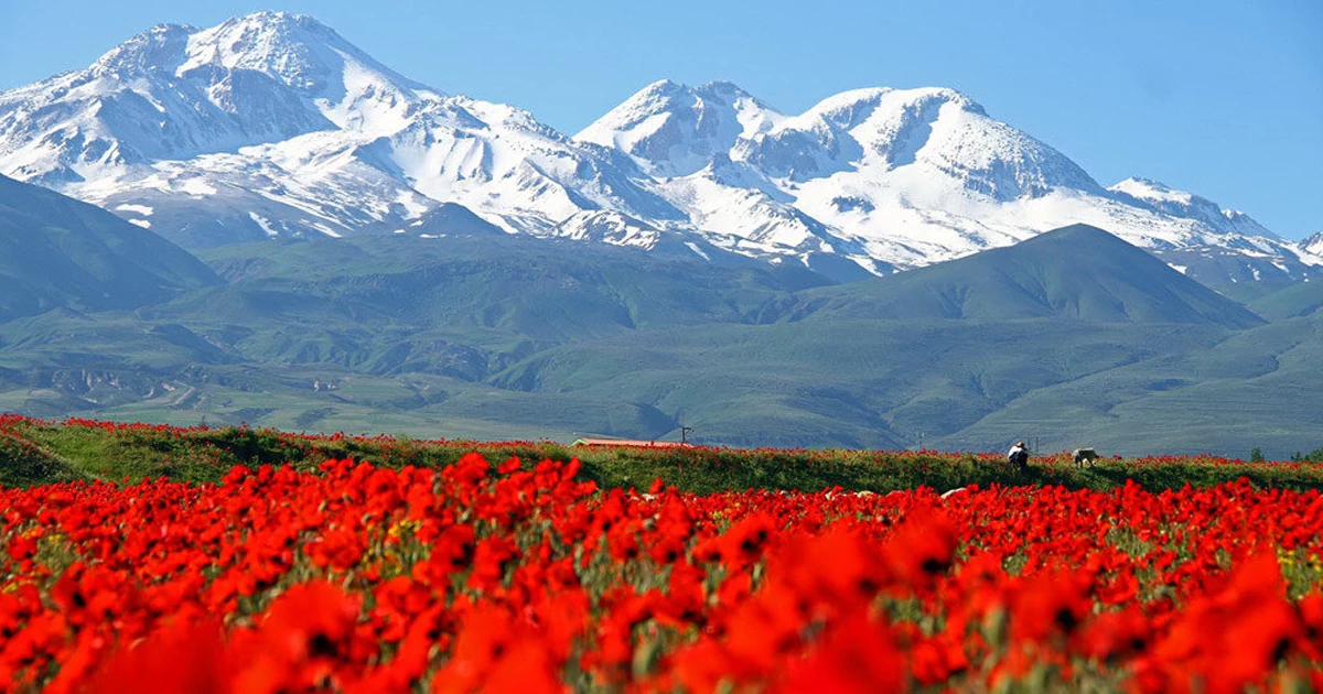 دشتهای پرگل ایران