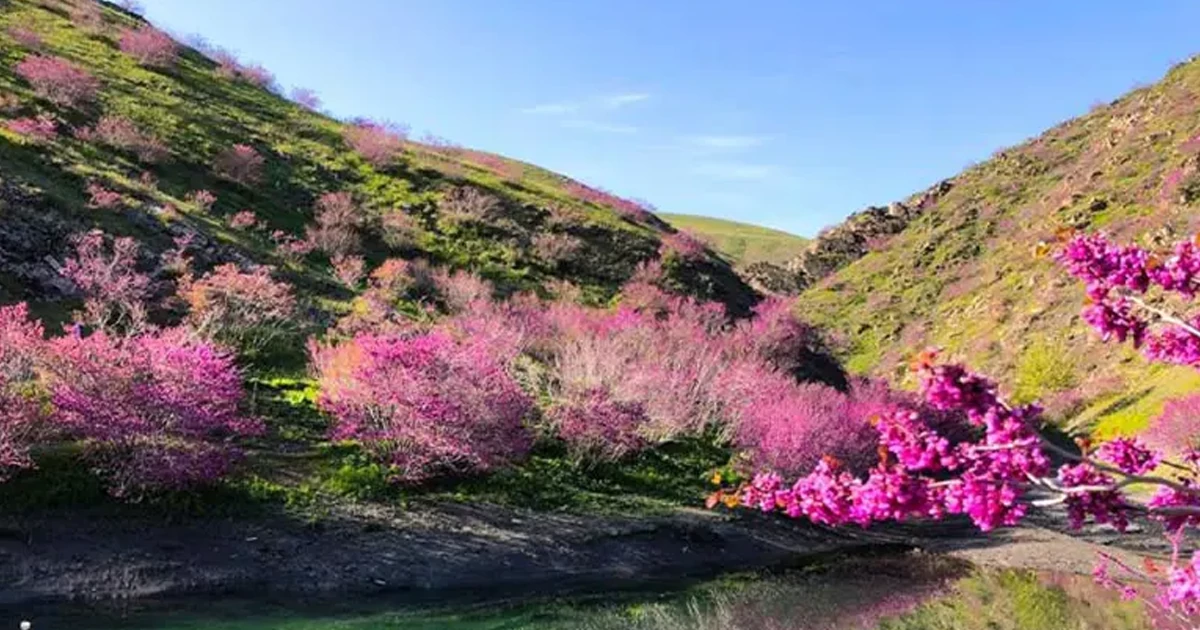 بهترین زمان بازدید از دره ارغوان مشهد