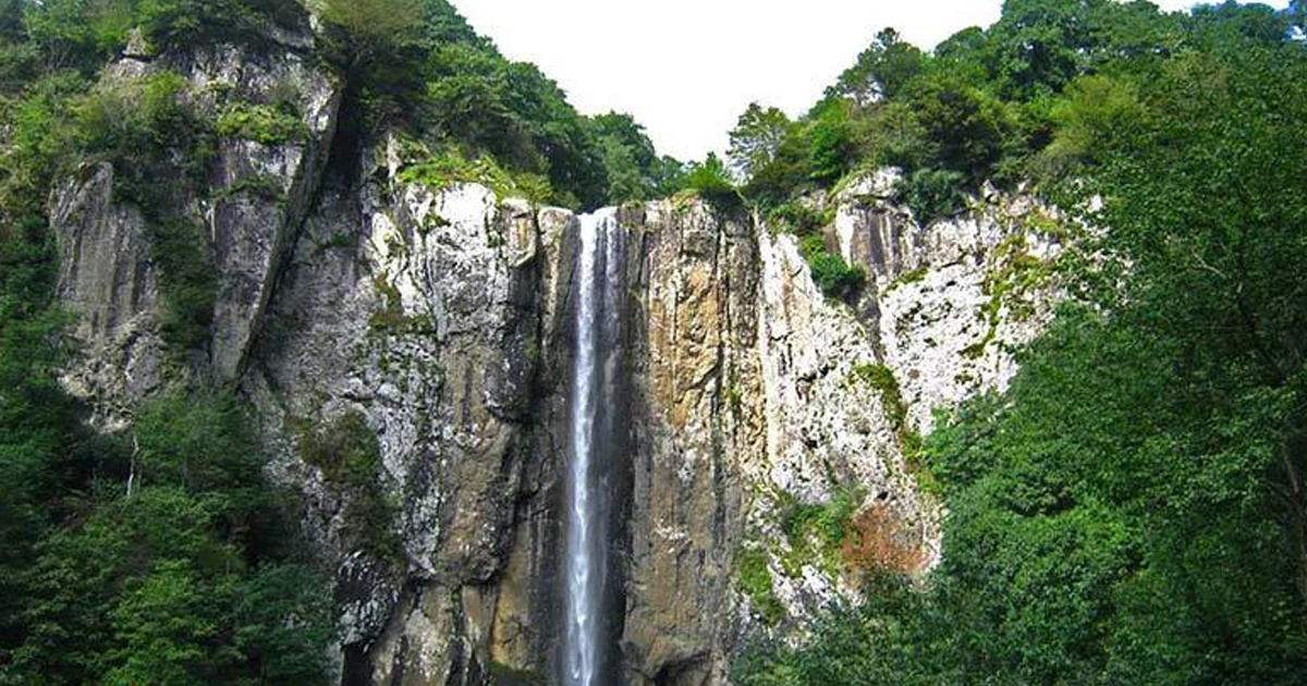 تنوع پوشش گیاهی زیر زردآب