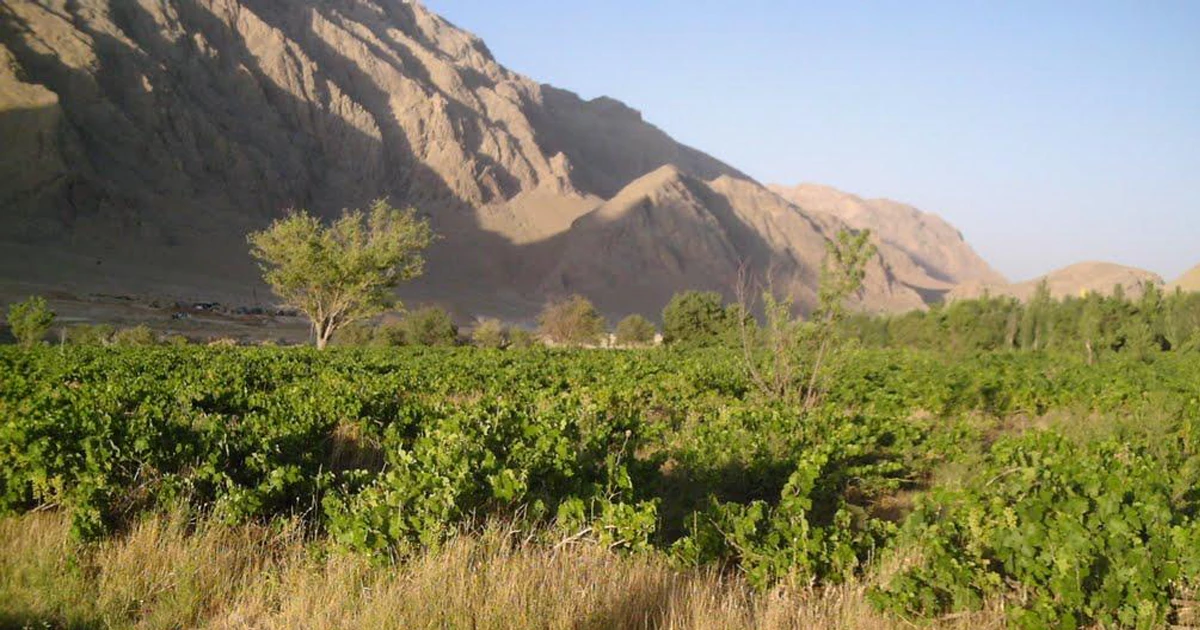 فاصله روستای سورک از شهرکرد