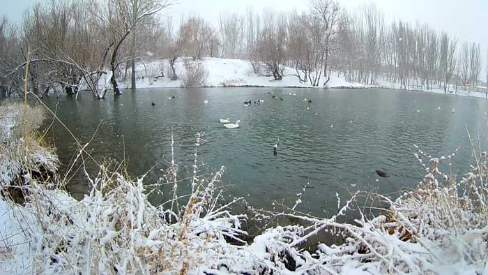 پارک دریاچه سمیرم