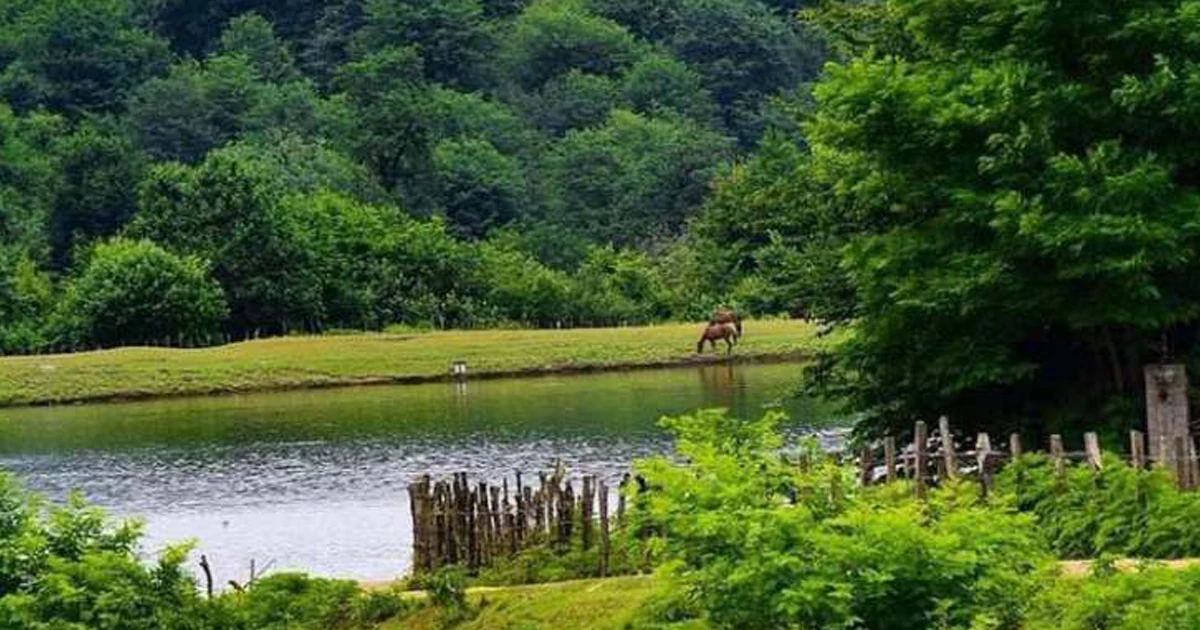 پارک جنگلی سیاهداران از جاهای دیدنی تالش