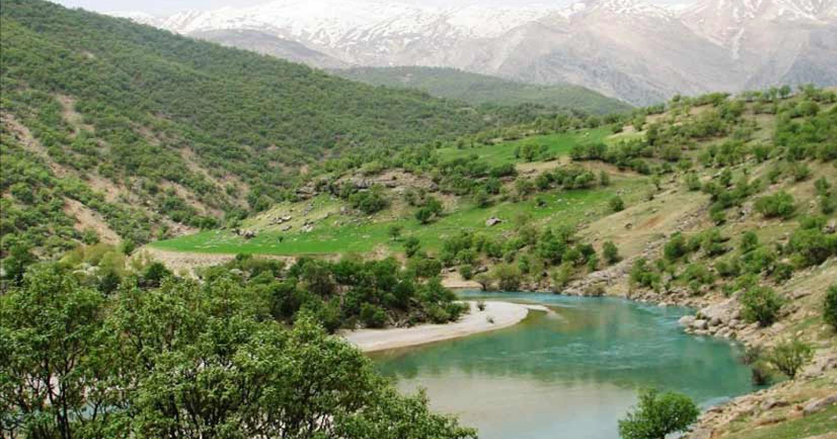 منطقهی فلارد
