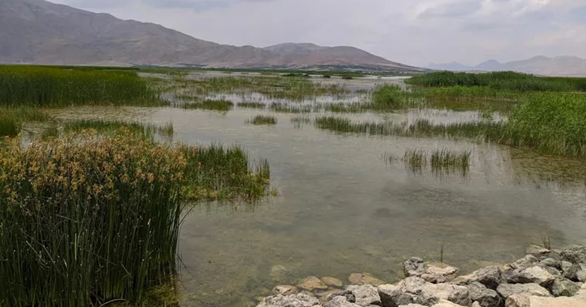 تالاب گندمان