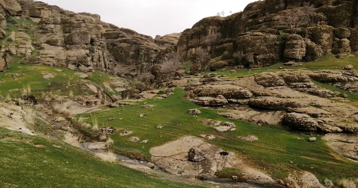 مخمل کوه؛ زمردی در زاگرس