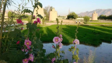 برجهای کبوترخانه اصفهان