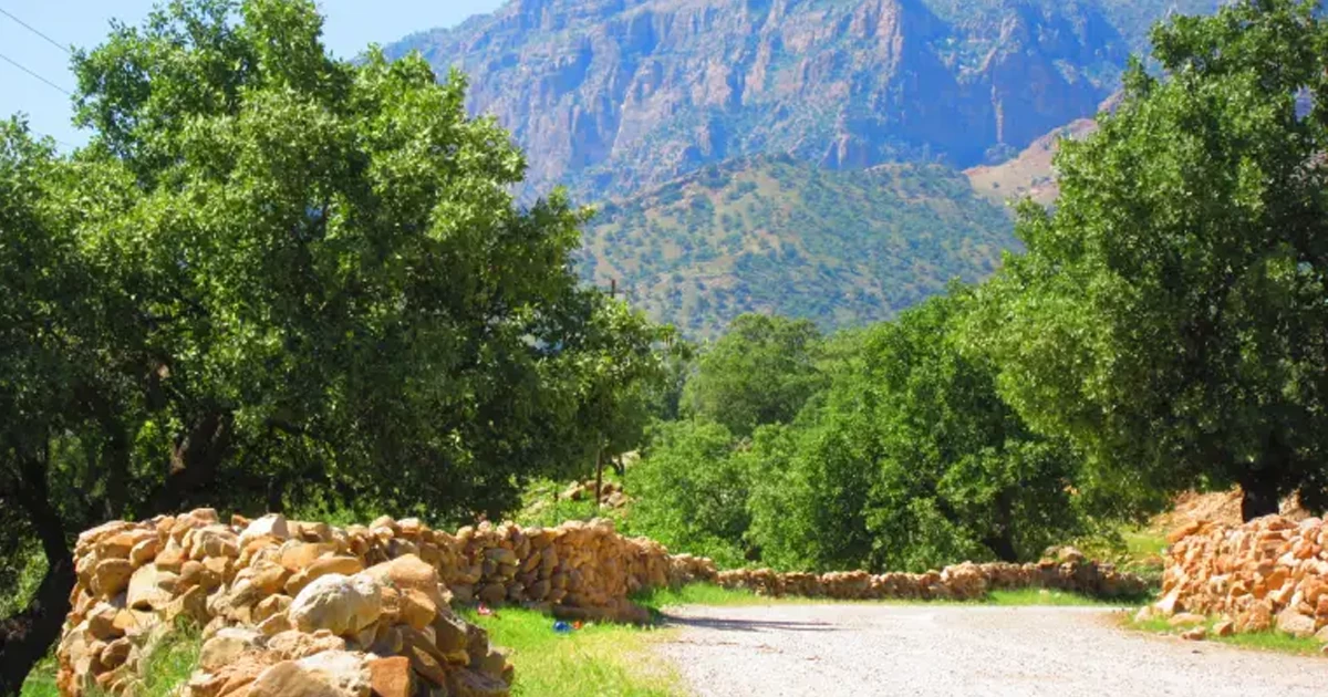 مسیرهای دشت شیمبار