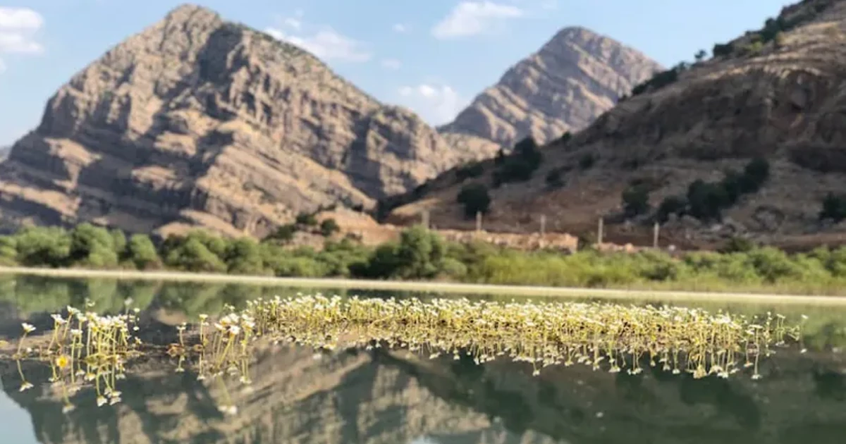 دیدنیهای شیمبار