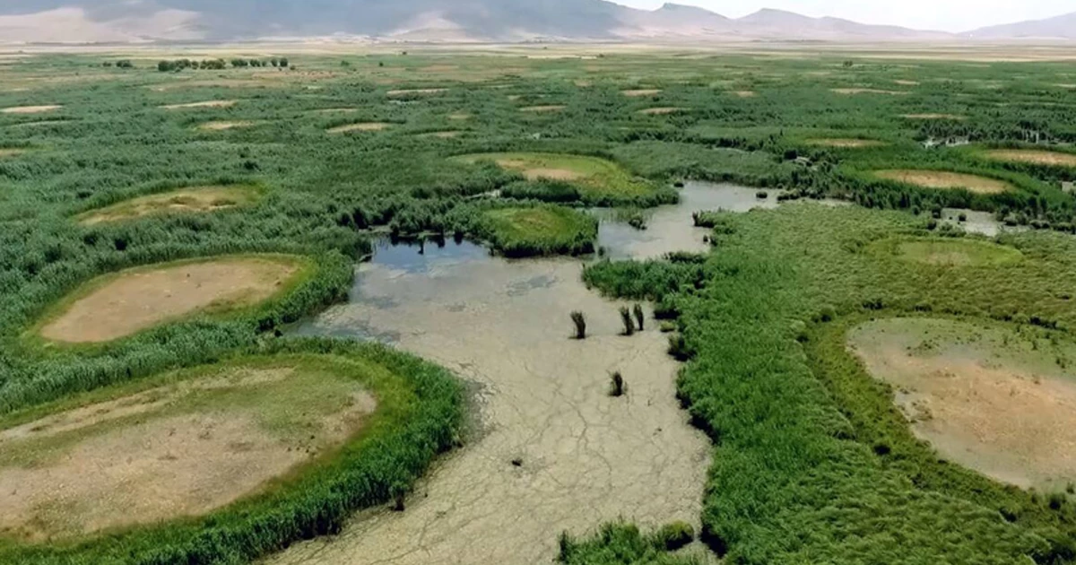 معرفی تالاب هشیلان