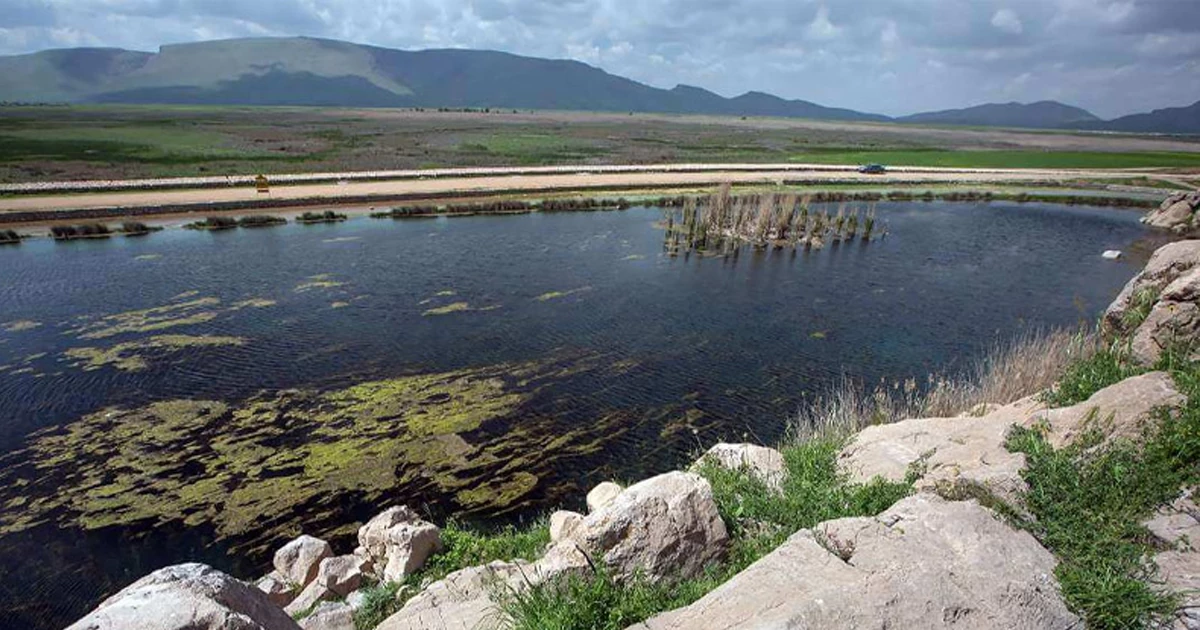 بهترین زمان بازدید از تالاب هشیلان