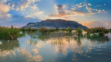 دریاچه هامون