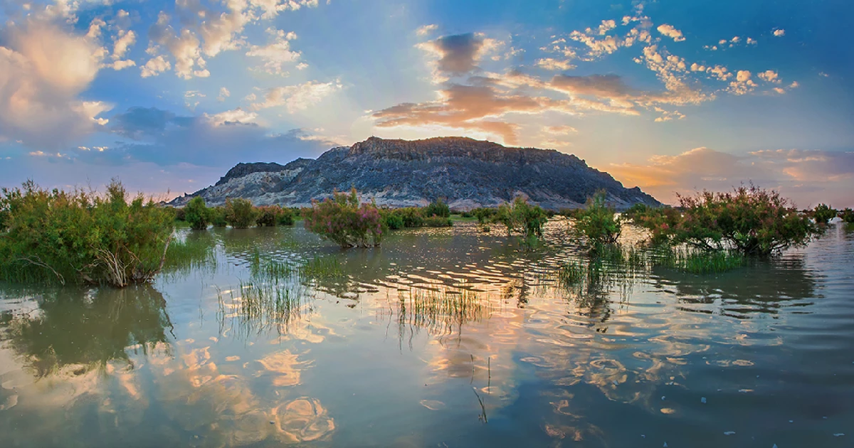دریاچه هامون