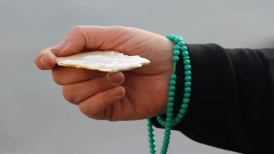 امامزاده ماستی اصفهان زیبا