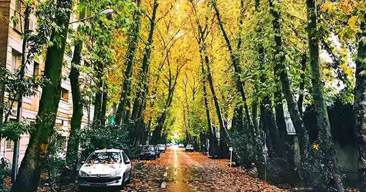 خیابان عباس آباد اصفهان در پاییز