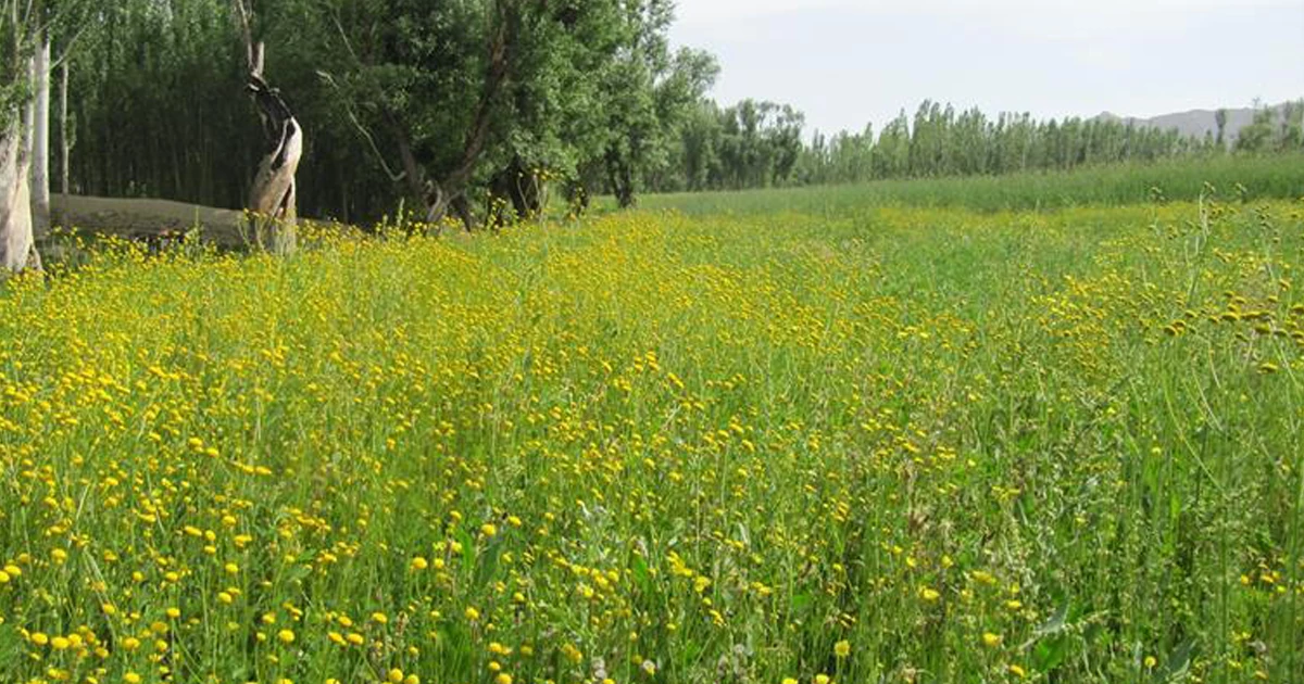 روستای هونجای از دیدنیهای اطراف اصفهان