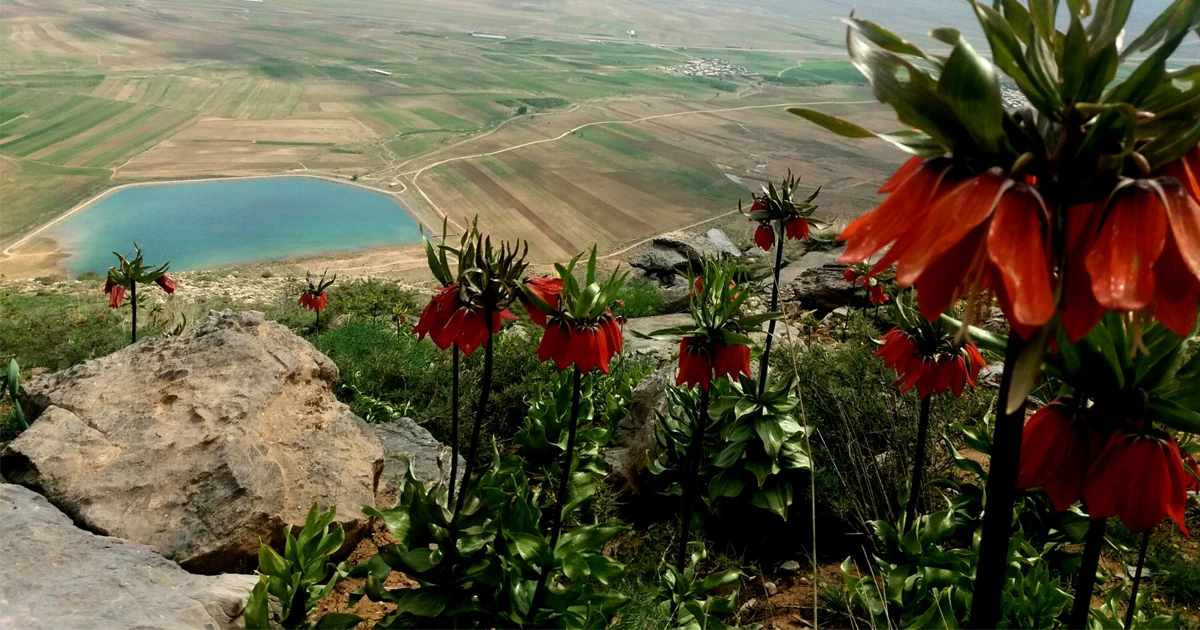 روستای اطراف اصفهان، روستای کردعلیا