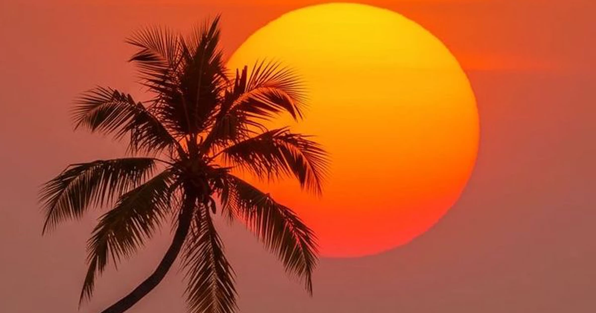 شروه خوانی در جنوب ایران