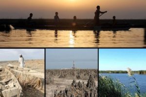 درمان ناتمام بیماری تالاب « هورالعظیم » خوزستان