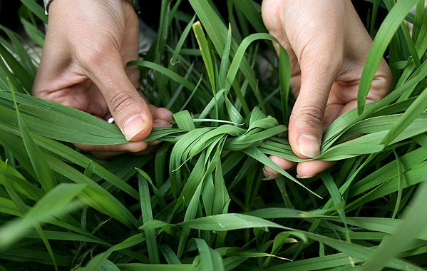 13 به در اصفهانی / گردشگری در ایام نوروز وابسته به اقتصاد