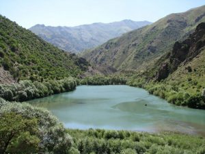 مراقب باشیم حال خوب مارمیشو بیش از این بد نشود!