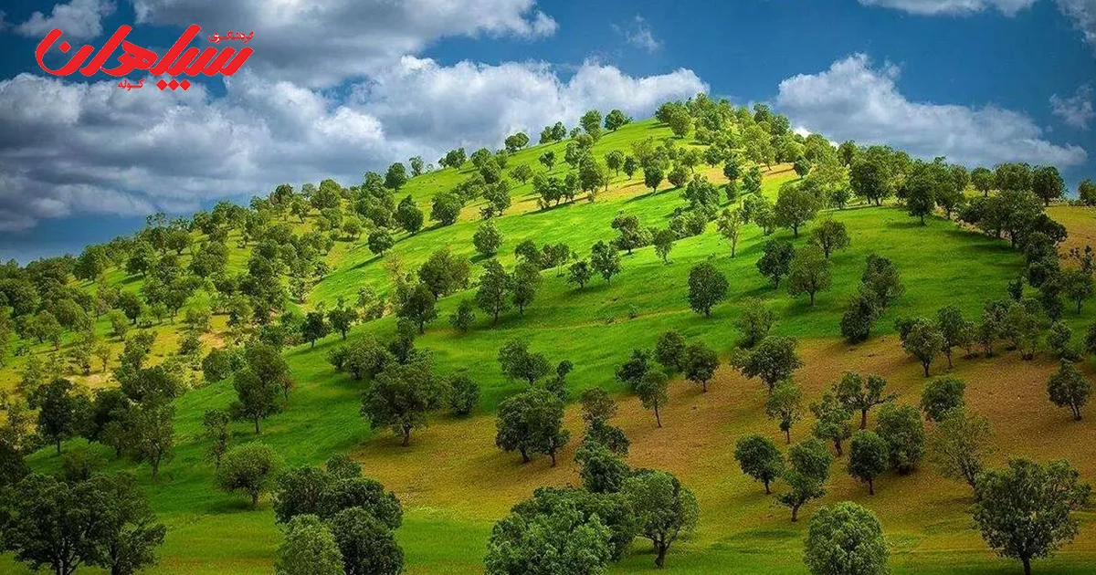 طبیعت بازفت؛ ترکیبی از کوه، رودخانه و جنگل