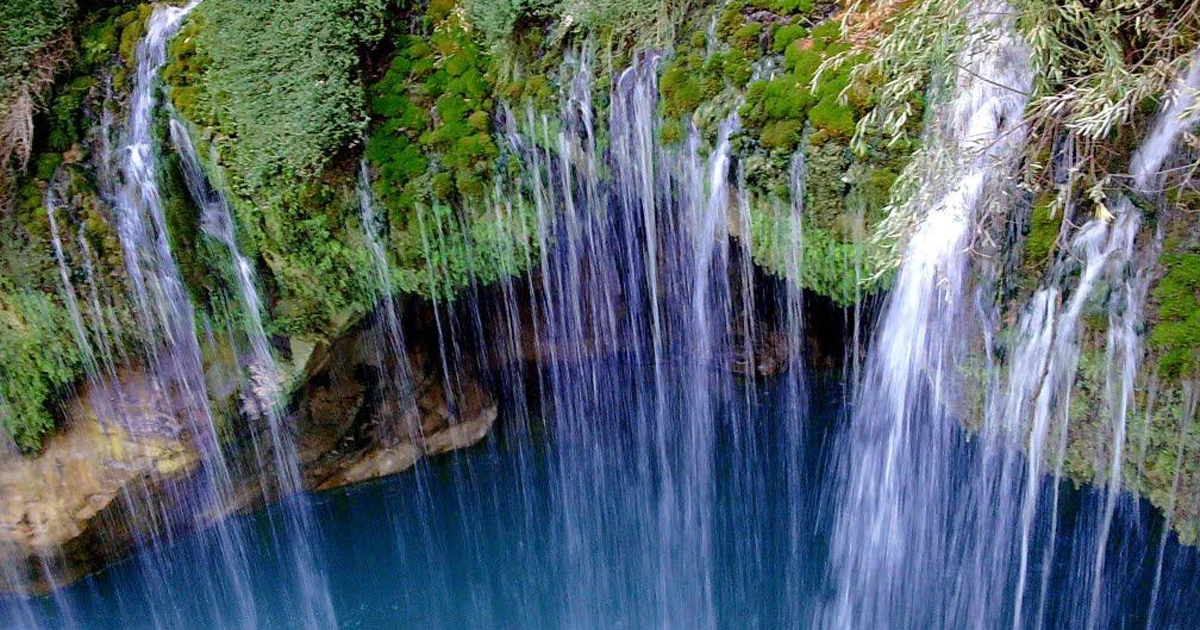 آب ملخ؛ آفتکش طبیعی از دل کوهستان