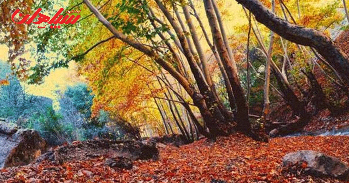 نکات مهم برای مسافران تنگ گنجهای