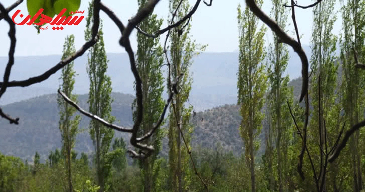 مسیر دسترسی به تنگ گنجهای (راهنمای سفر)
