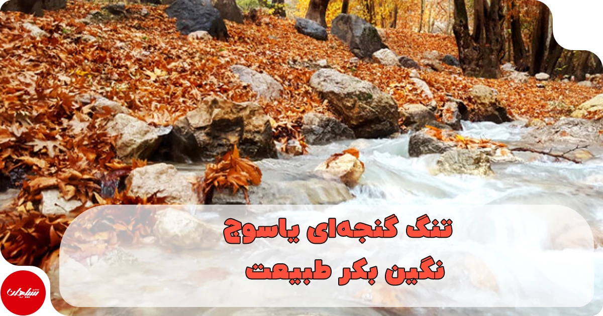 تنگ گنجهای یاسوج؛ نگین بکر طبیعت در دل کهگیلویه و بویراحمد