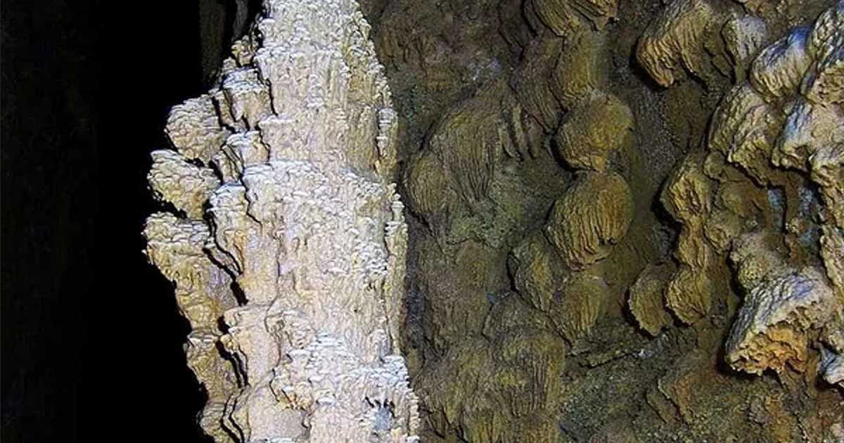 کشف غار و نام‌گذاری تانا