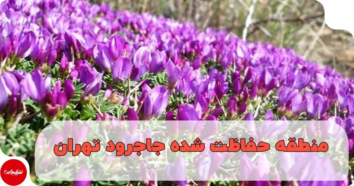 منطقه حفاظت شده جاجرود تهران