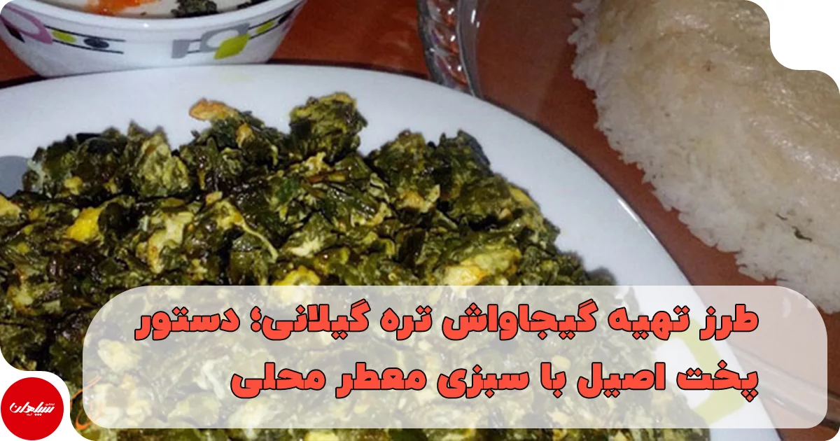 طرز تهیه گیجاواش تره گیلانی؛ دستور پخت اصیل با سبزی معطر محلی