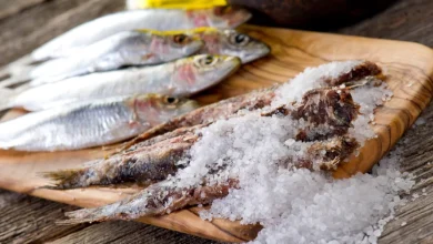 ماهی شور چیست؟