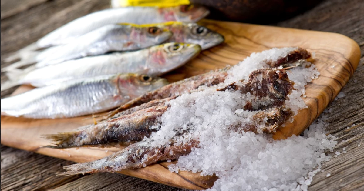 ماهی شور چیست؟