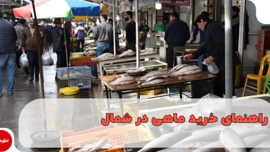 راهنمای خرید ماهی در شمال، معرفی بهترین فصل صید و انواع ماهیهای دریای خزر