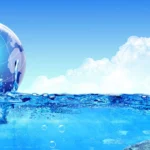 منابع تفرجی طبیعی در زیست‌بوم‌های آبی