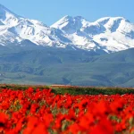 دشت‌های پرگل ایران