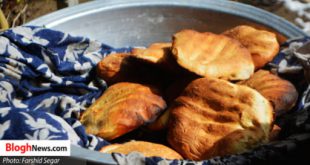 پنجه کش مازندران