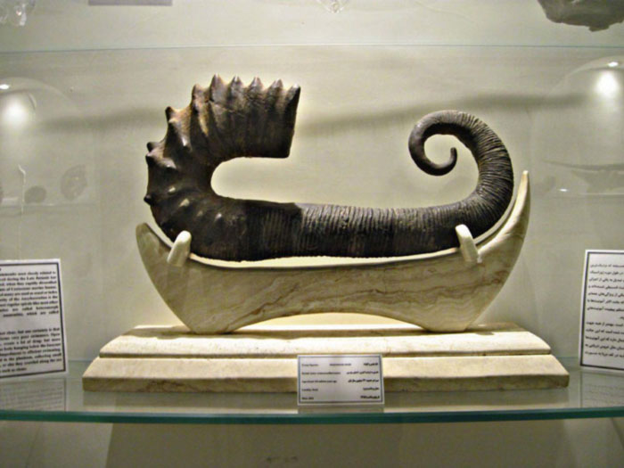 موزه دیرینه شناسی کامبرین