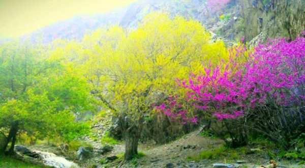 دره ارغوان مشهد