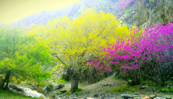 دره ارغوان مشهد