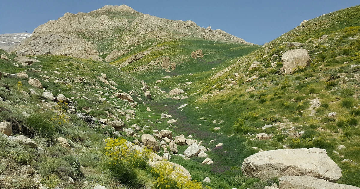 طبیعت سرسبز پادنا و شهرت جهانی سیب سمیرم