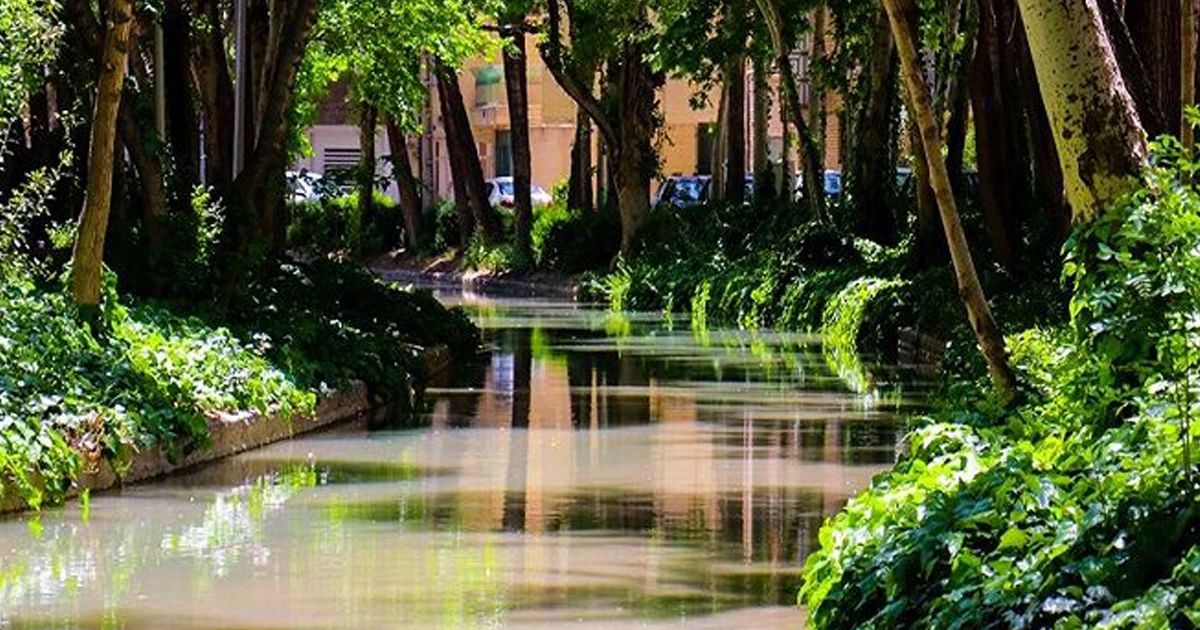 مادی نیاصرم، محله چرخاب اصفهان