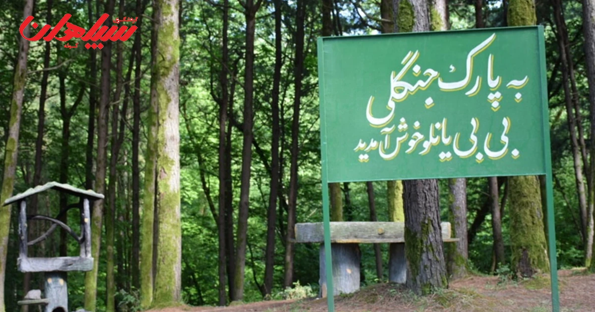 پارک جنگلی بی‌بی‌یانلو آستارا